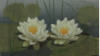 Water Lilies